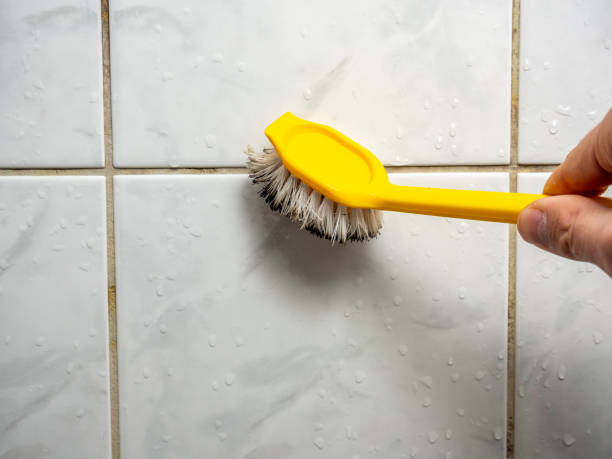 Reliable Blakely, PA Mold Removal Solutions