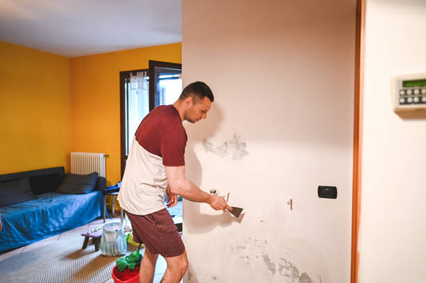 Attic Mold Removal in Blakely, PA
